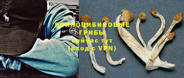 ешки Абдулино