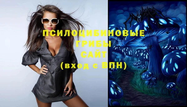 тгк Абаза