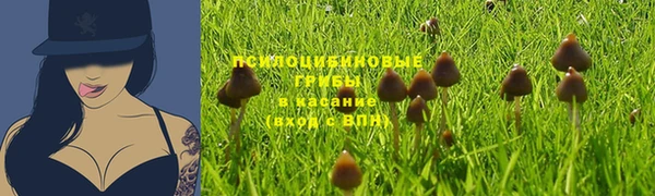 молекула духа Абинск