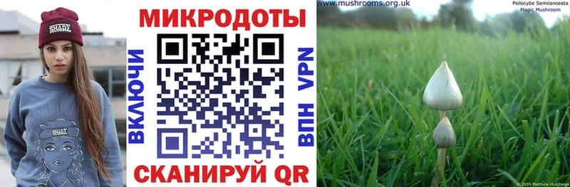 Галлюциногенные грибы Psilocybine cubensis купить Фрязино